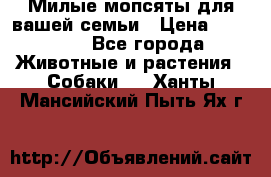 Милые мопсяты для вашей семьи › Цена ­ 20 000 - Все города Животные и растения » Собаки   . Ханты-Мансийский,Пыть-Ях г.